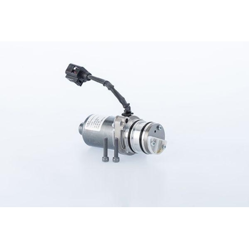 BorgWarner Pumpe, Lamellenkupplung (Allradantrieb) OE-Version/Erstausr&uuml;stung DS114269