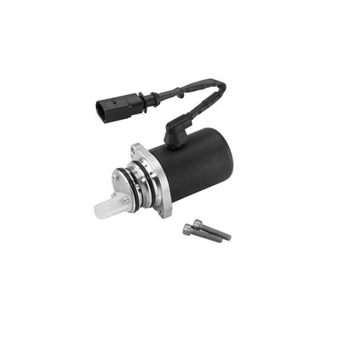 BorgWarner Pumpe, Lamellenkupplung (Allradantrieb) OE-Version/Erstausr&uuml;stung DS118577