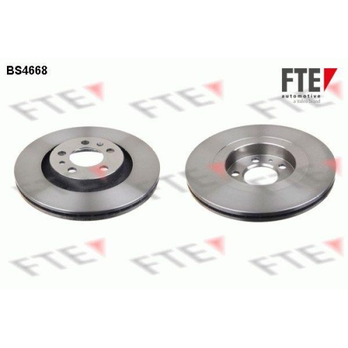 FTE Bremsscheibe 9072045