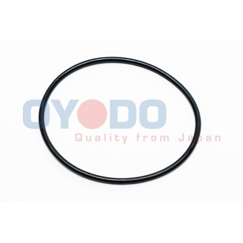 Oyodo Dichtung, Wasserpumpe