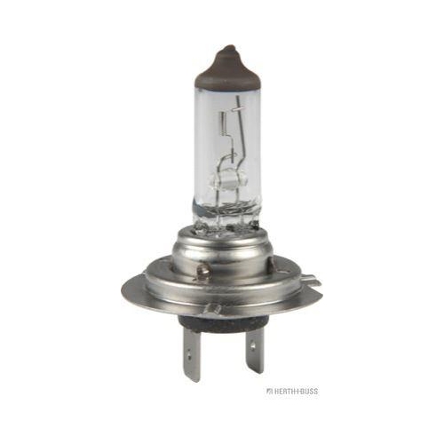 HERTH+BUSS ELPARTS Gl&uuml;hlampe 89901291