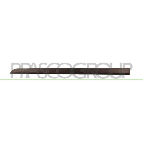 PRASCO Zier-/Schutzleiste, T&uuml;r OP4101404