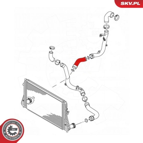 ESEN SKV Ladeluftschlauch 43SKV419