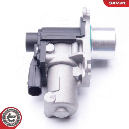 ESEN SKV AGR-Ventil 14SKV170