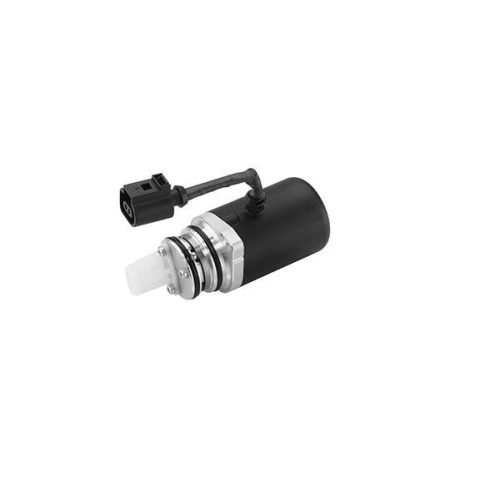 BorgWarner Pumpe, Lamellenkupplung (Allradantrieb) OE-Version/Erstausr&uuml;stung DS118611