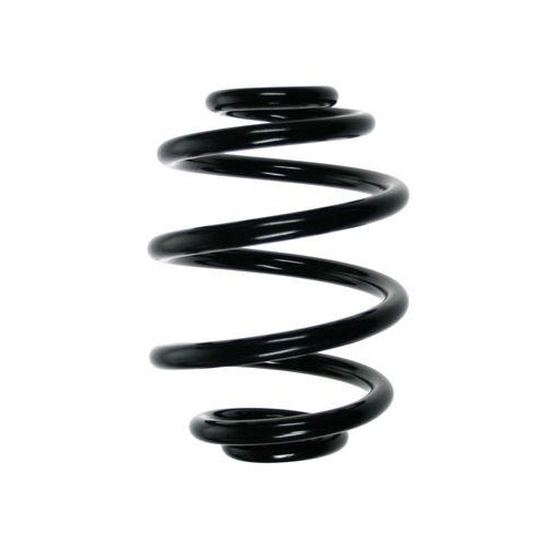 SPIDAN Fahrwerksfeder 49183