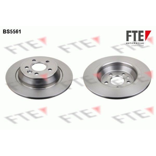 FTE Bremsscheibe 9072076
