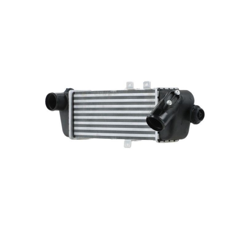 HELLA Ladeluftk&uuml;hler 8ML 366 341-001
