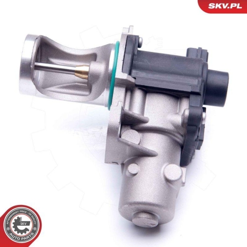 ESEN SKV AGR-Ventil 14SKV172
