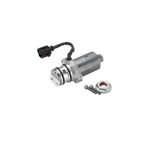 BorgWarner Pumpe, Lamellenkupplung (Allradantrieb) OE-Version/Erstausr&uuml;stung DS119863