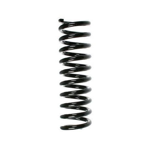 SPIDAN Fahrwerksfeder 49222