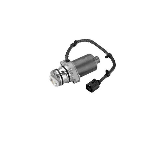 BorgWarner Pumpe, Lamellenkupplung (Allradantrieb) OE-Version/Erstausr&uuml;stung DS119866