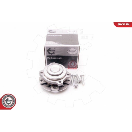 ESEN SKV Radlagersatz