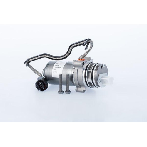 BorgWarner Pumpe, Lamellenkupplung (Allradantrieb) OE-Version/Erstausr&uuml;stung DS2010678