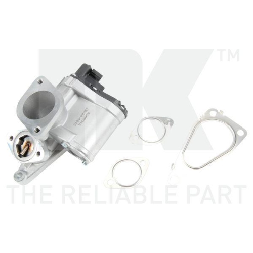 NK AGR-Ventil 4599048