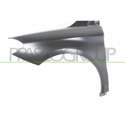 PRASCO Kotfl&uuml;gel ME4243004