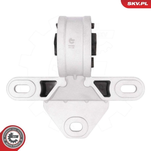 ESEN SKV Lagerung, Motor 75SKV020