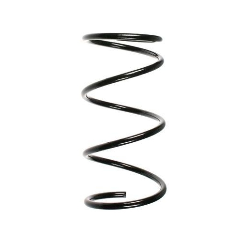 SPIDAN Fahrwerksfeder 49310