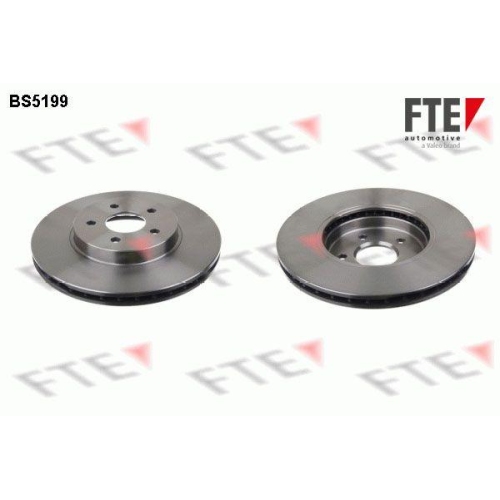 FTE Bremsscheibe 9072205