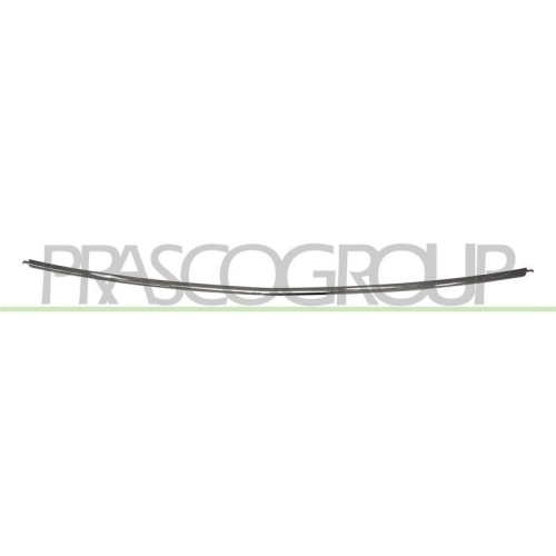 PRASCO Zier-/Schutzleiste, Sto&szlig;f&auml;nger OP4181275