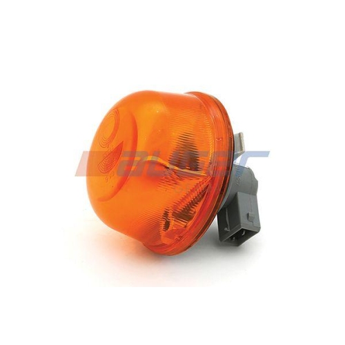 AUGER Blinkleuchte 93012