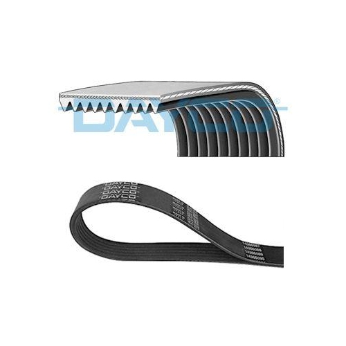 DAYCO Keilrippenriemen