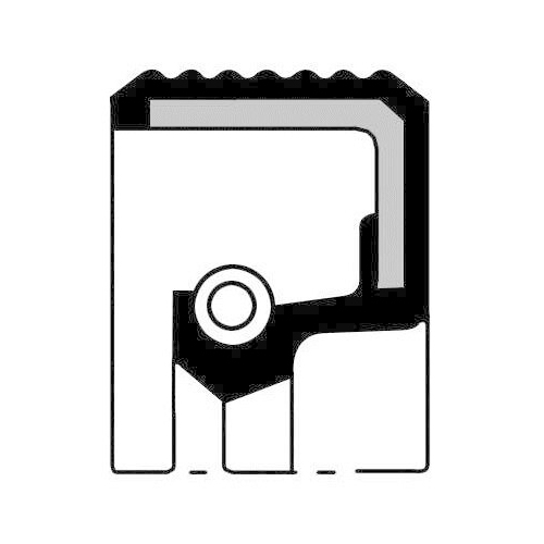 PAYEN Wellendichtring, Kurbelwelle NA5016
