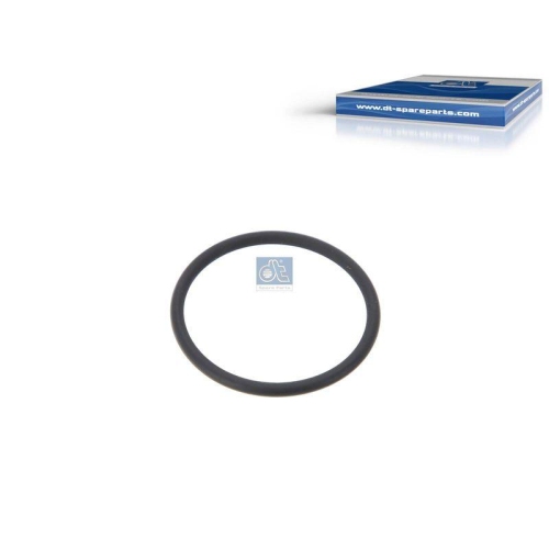 DT Spare Parts Dichtring 1.24307