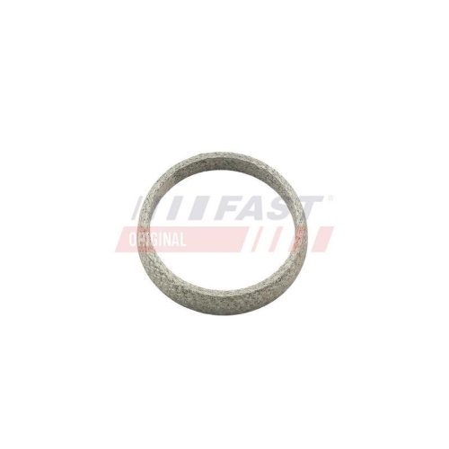 FAST Dichtring, Abgasrohr FT84823