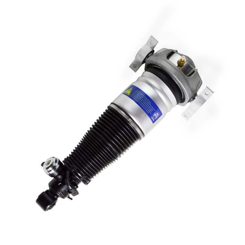 LUFTFEDERBEIN hinten rechts Miessler Automotive 1163-01-3420