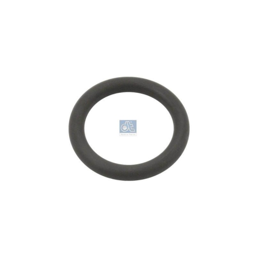 DT Spare Parts Dichtring 1.24308
