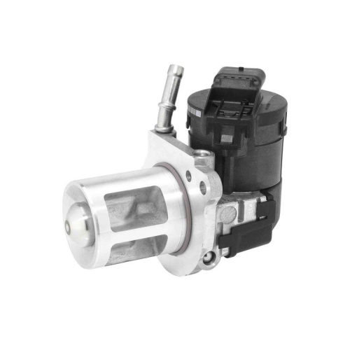 BorgWarner AGR-Ventil OE-Version/Erstausr&uuml;stung 710369D