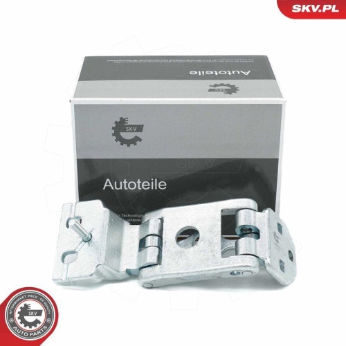 ESEN SKV T&uuml;rscharnier