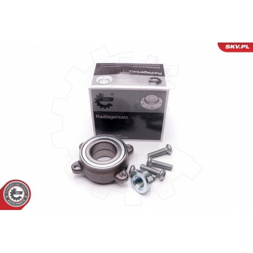 ESEN SKV Radlagersatz