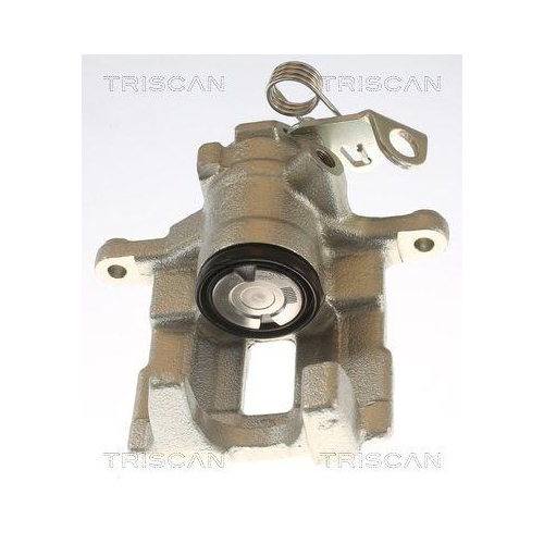 TRISCAN Bremssattel 8175 29212