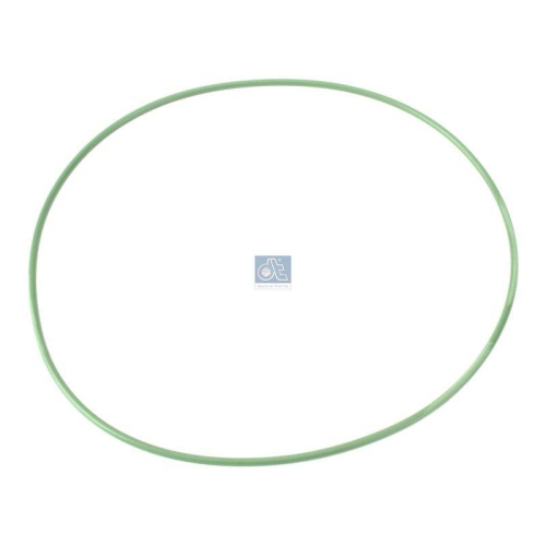 DT Spare Parts Dichtring 1.24309
