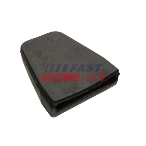 FAST Lagerung, Blattfeder FT18250