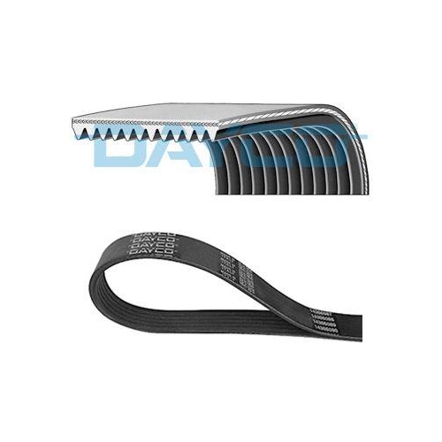 DAYCO Keilrippenriemen