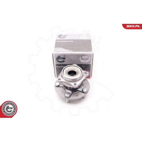 ESEN SKV Radlagersatz