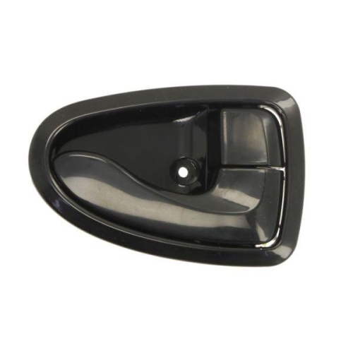 BLIC T&uuml;rgriff, Innenausstattung 6010-20-016408P