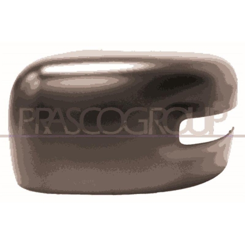 PRASCO Abdeckung, Au&szlig;enspiegel JE1007404