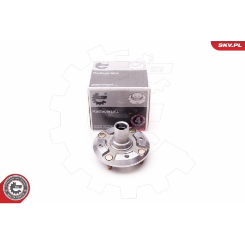 ESEN SKV Radlagersatz