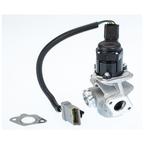 BorgWarner AGR-Ventil 710936D