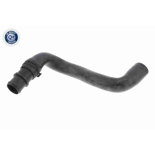 VAICO K&uuml;hlerschlauch Q+, Erstausr&uuml;sterqualit&auml;t V20-2462