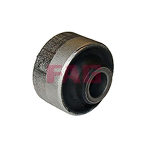 Schaeffler FAG Lagerung, Lenker