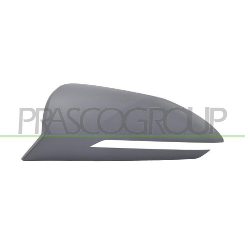 PRASCO Abdeckung, Au&szlig;enspiegel HN8107424