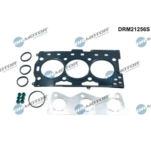Dr.Motor Automotive Dichtungssatz, Zylinderkopf DRM21256S