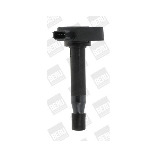 BorgWarner (BERU) Z&uuml;ndspule ZSE166