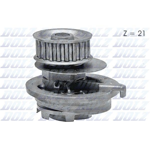 DOLZ Wasserpumpe, Antriebsbatterie