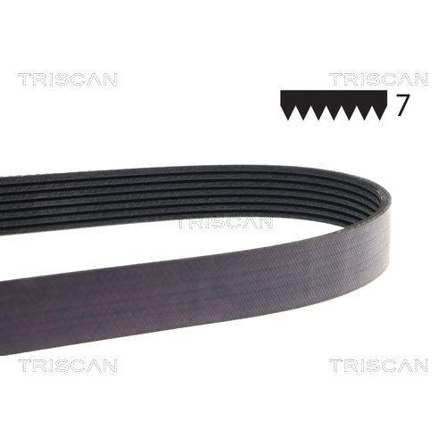 TRISCAN Keilrippenriemen 8640 701283